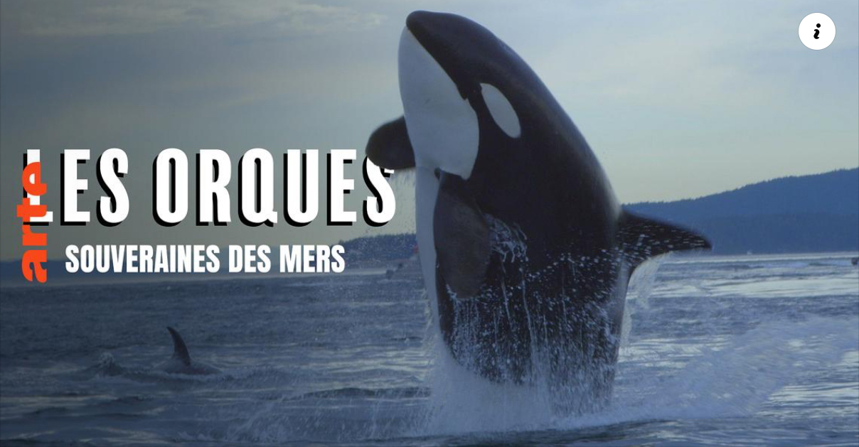 image du post