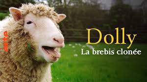 image du post
