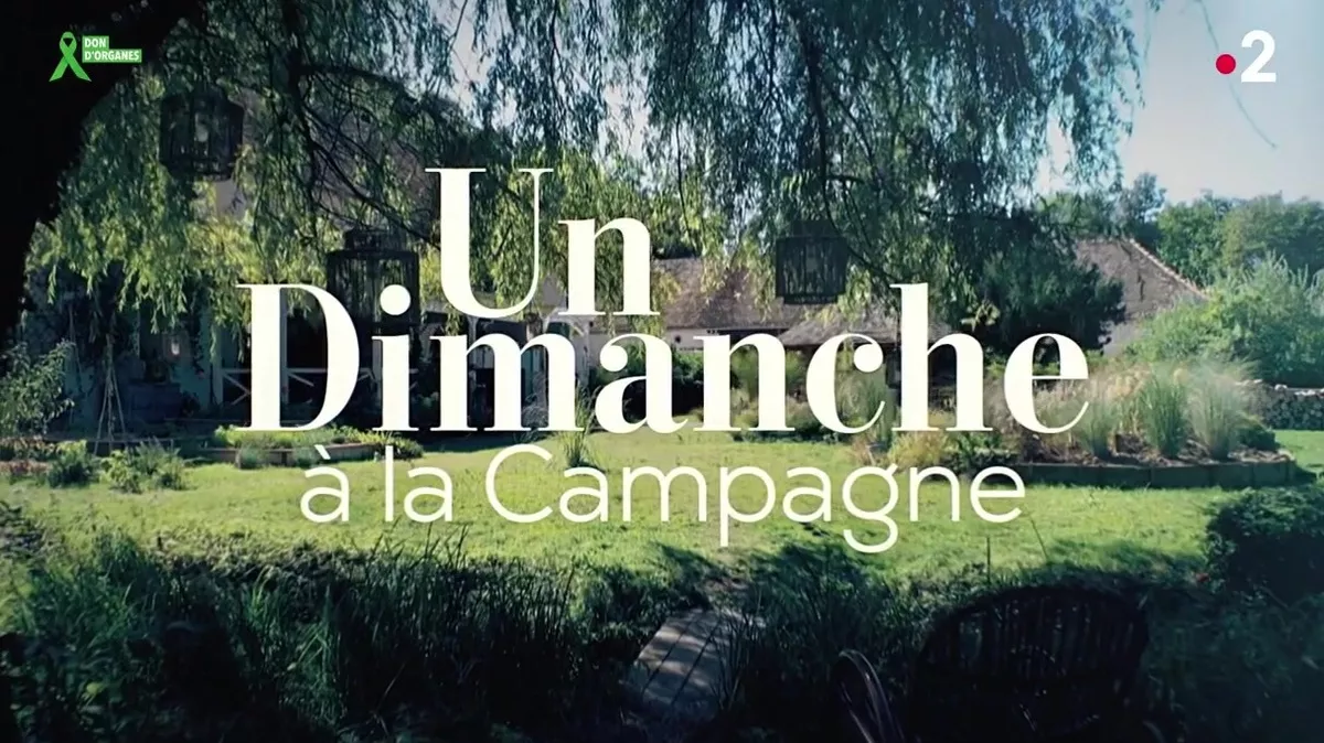 image du post