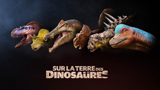 image du post